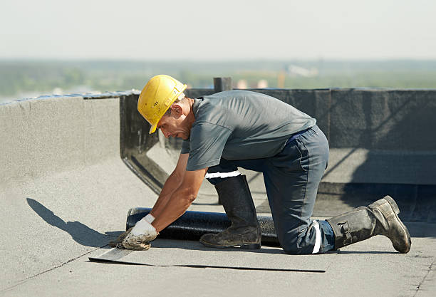 Best Insulation Maintenance and Repair in Cave Springs, AR